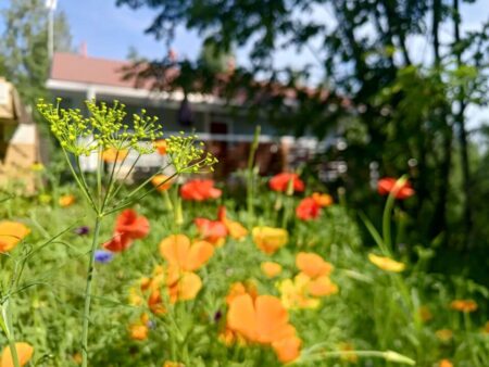 Miksi muuttaa Kuruun?