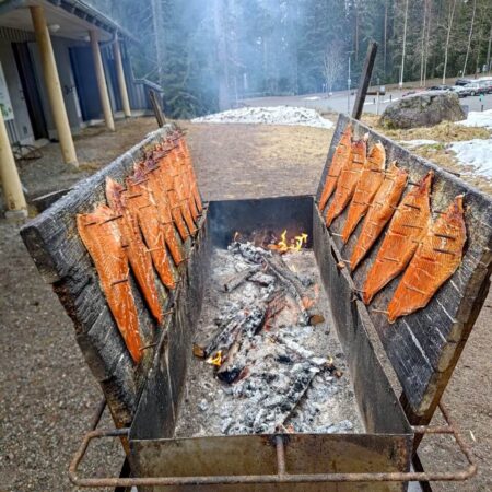 Allekirjoita aloite Seitsemisen kansallispuiston luontokeskuksen puolesta