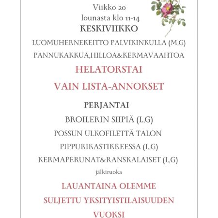 Villa Hainari Lounaslista vko 20