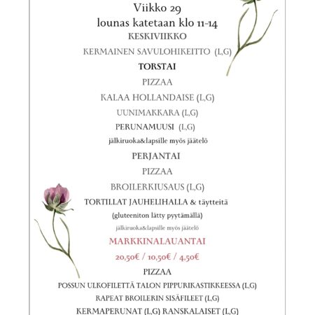 Villa Hainarin Lounaslista vko 29