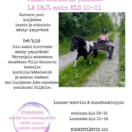 Markkinahuumaa la 18.7. Villa Hainarissa